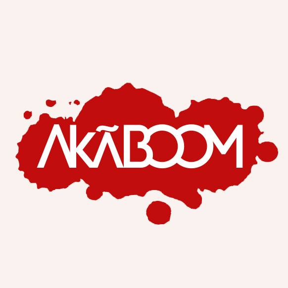 AkÂboom – Feria de Idea Arte y Cultura (2016)